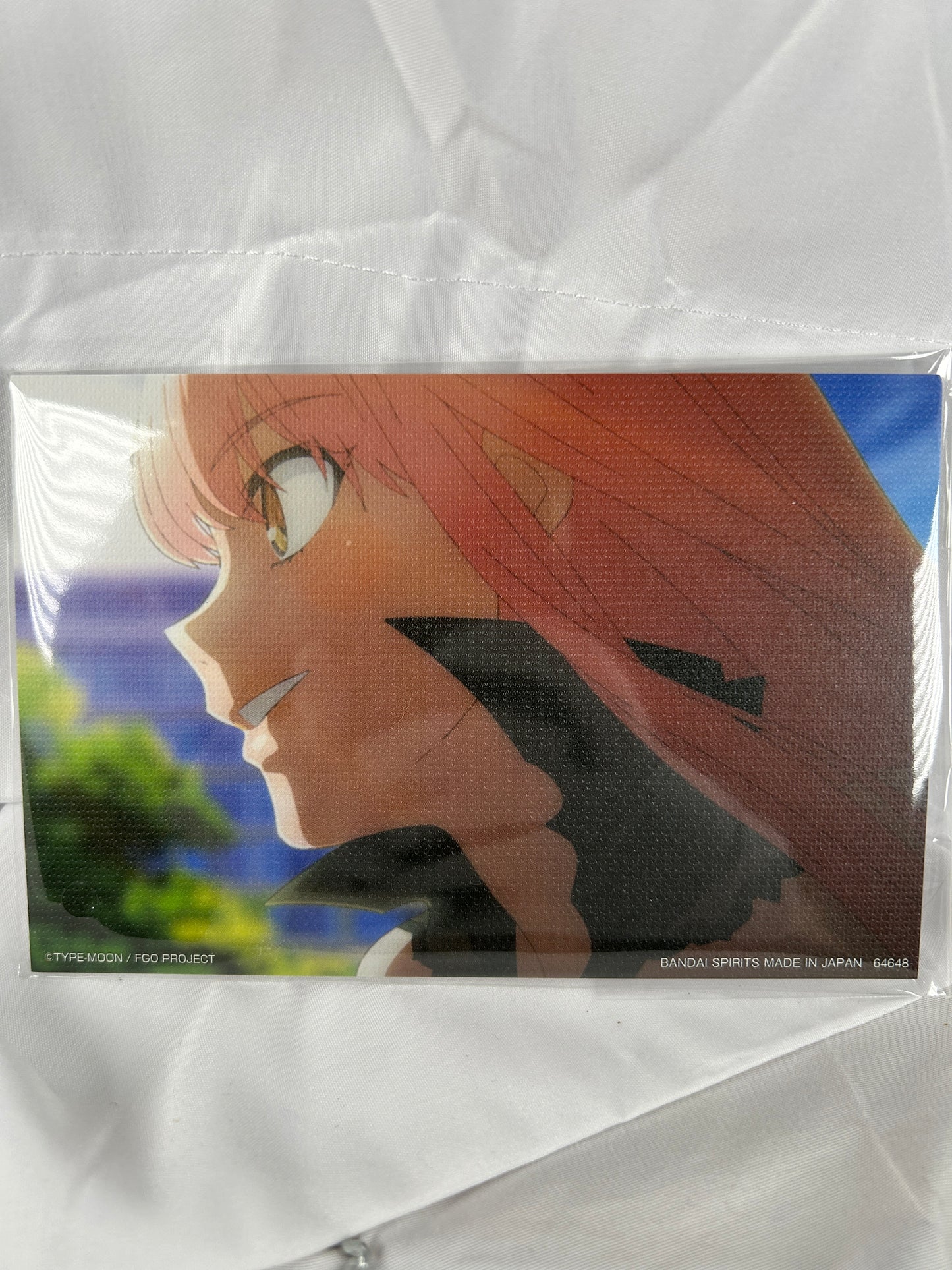 Lord Cnoc na Riabh Illustration Cardboard Stand Fate Grand Order