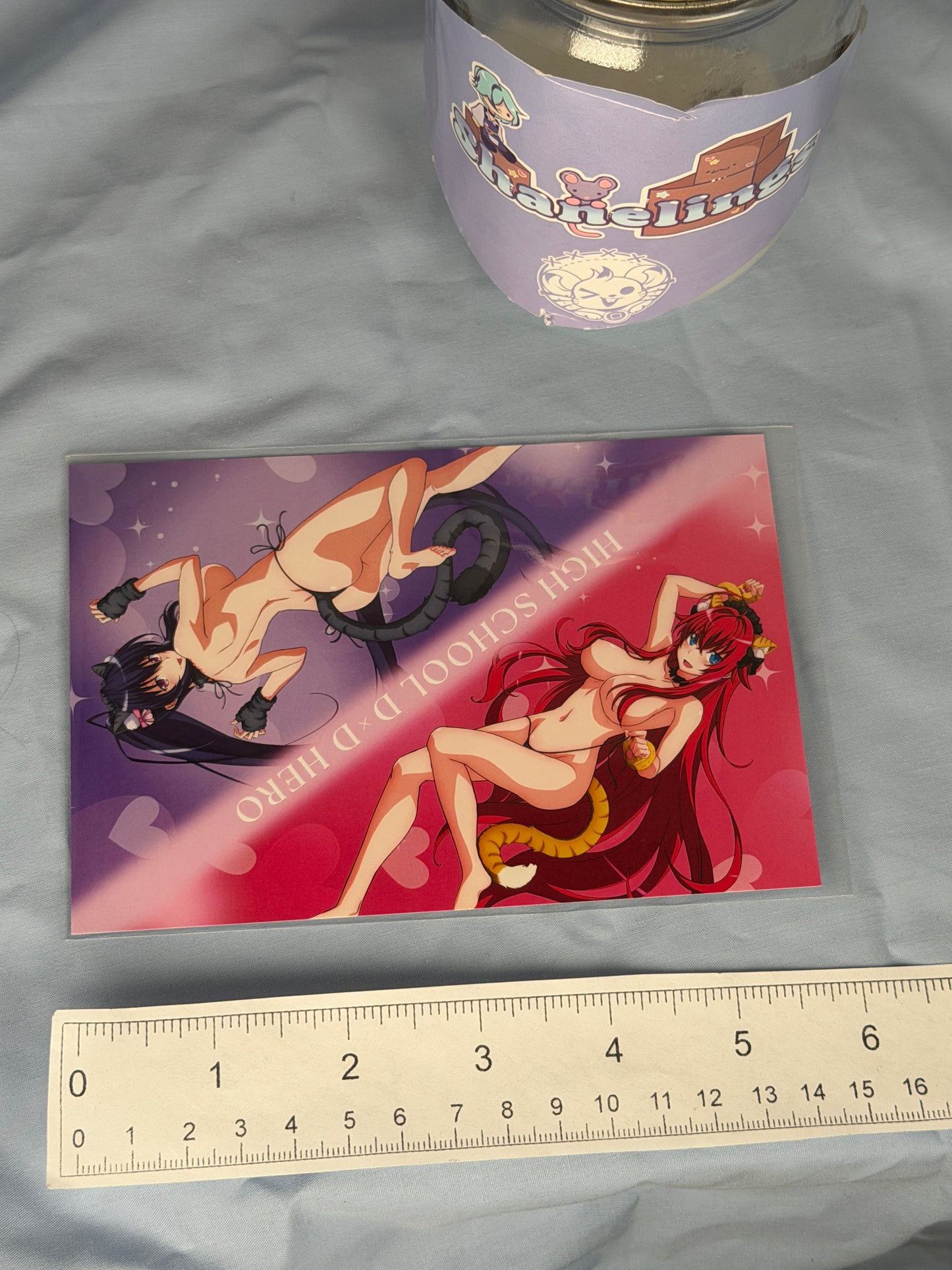 Rias Gremory Akane Himejima Cat Bikini Postcard HighSchool DxD HERO eeo Lottery