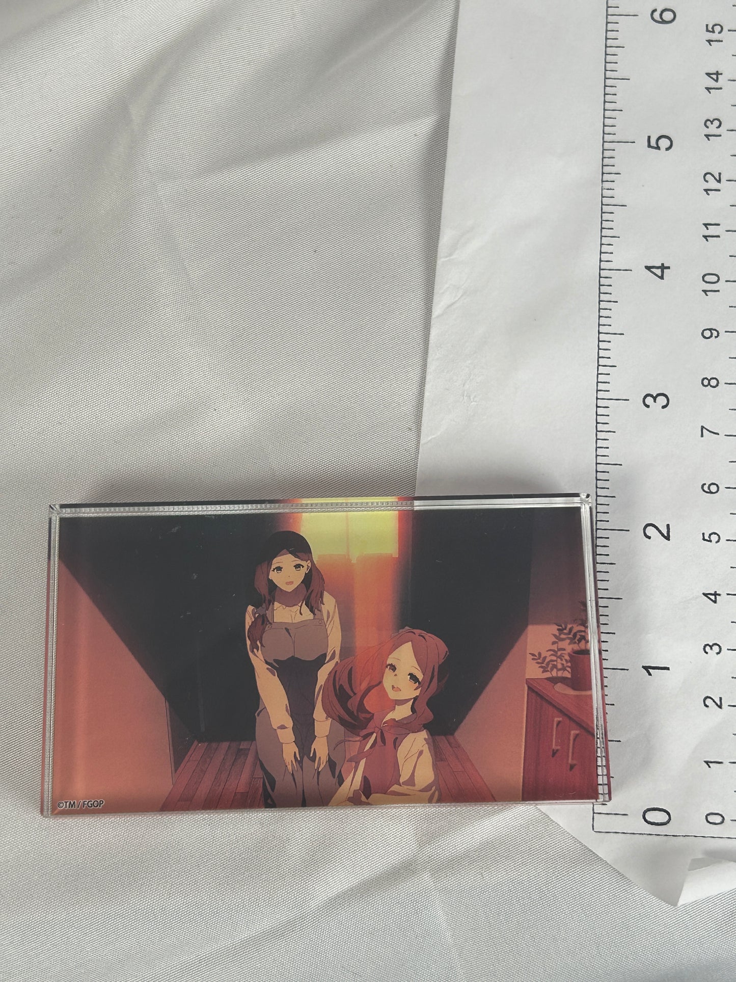 Leonard Da Vinci Acrylic Block Fate Grand Order