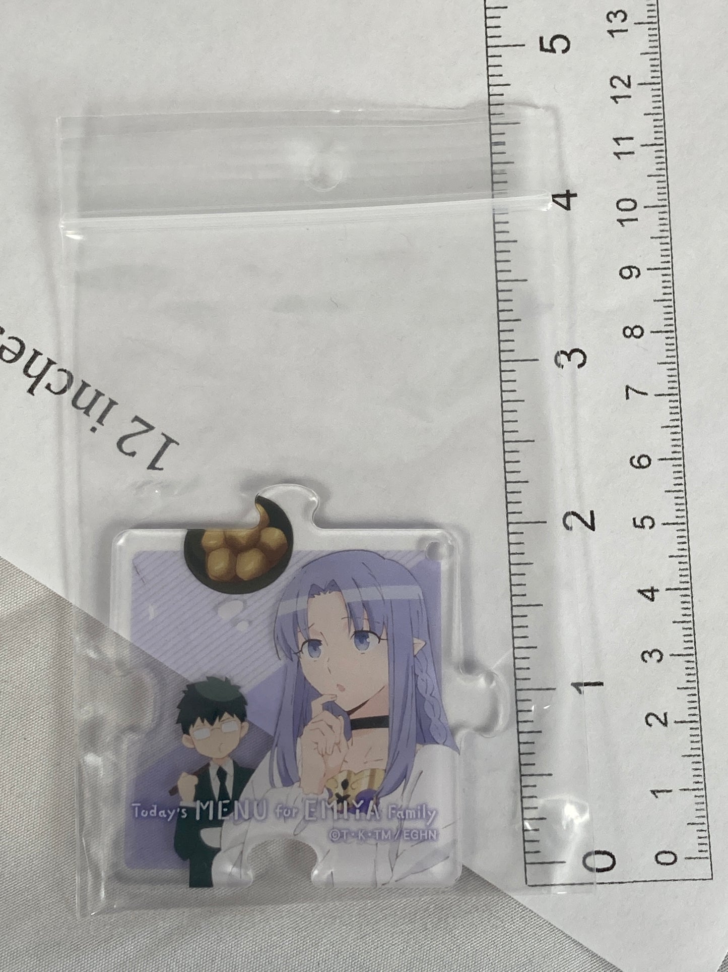 Medea Caster Acrylic Todays Menu for the Emiya Family Fate Stay Night