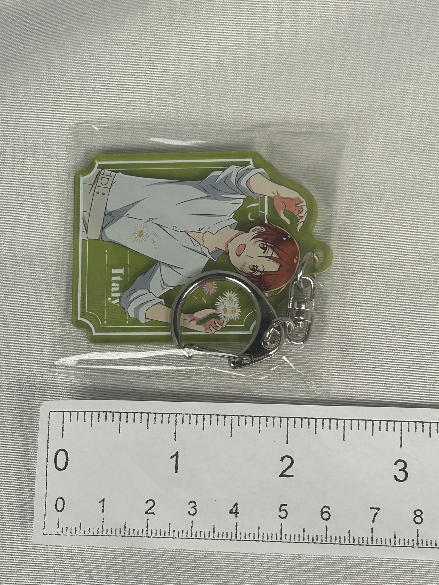 Italy Acrylic Keychain Flower Shower WEB Lottery Hetalia World Stars