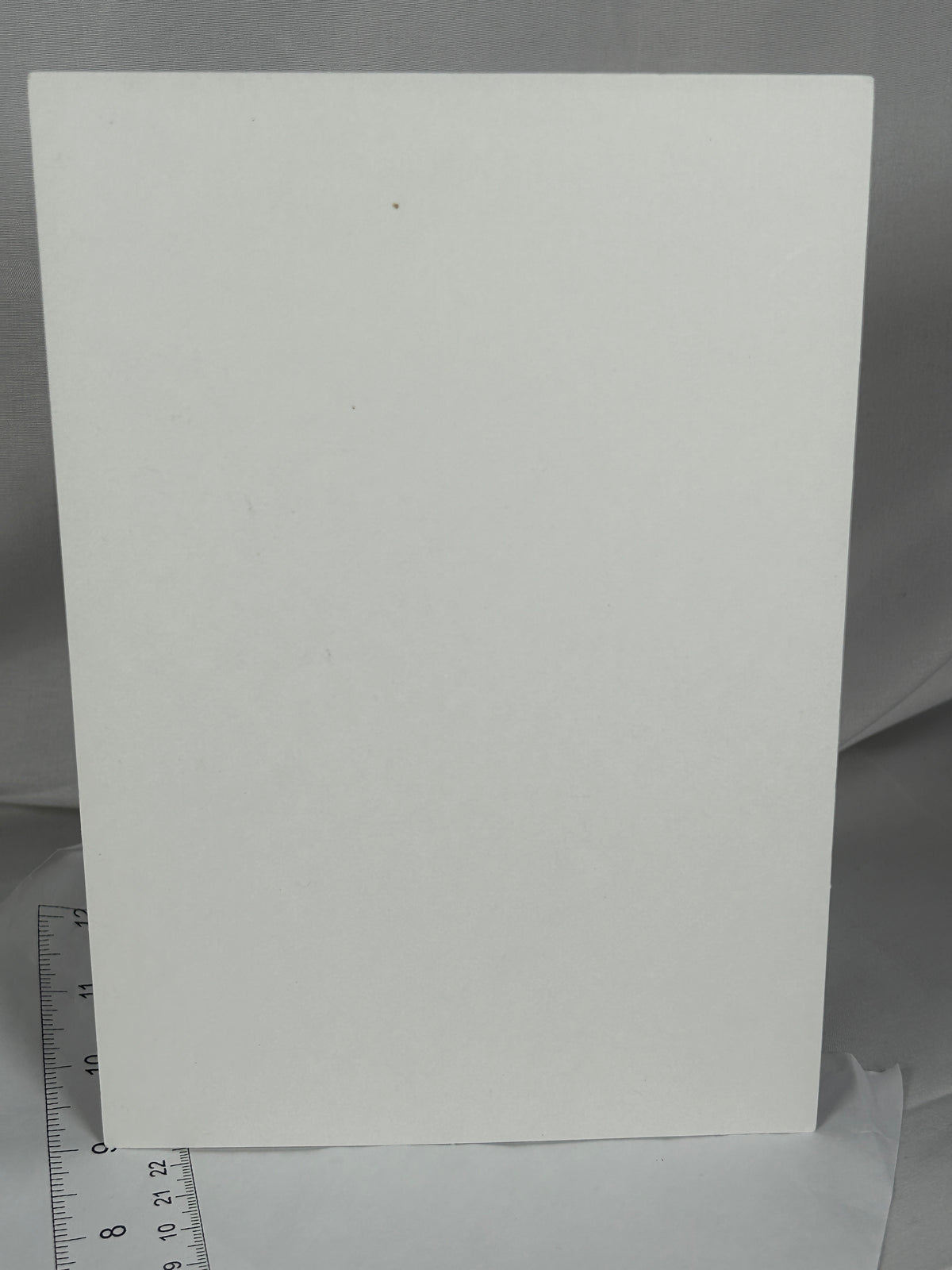 Dark Sakura Matou Cardboard Visitor Bonus