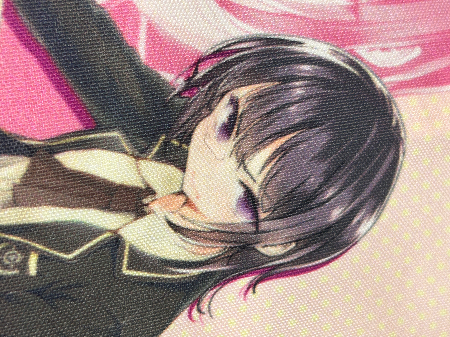 Sena Kashiwazaki Rika Shiguma Book Cover Haganai D Prize Kuji Bikido