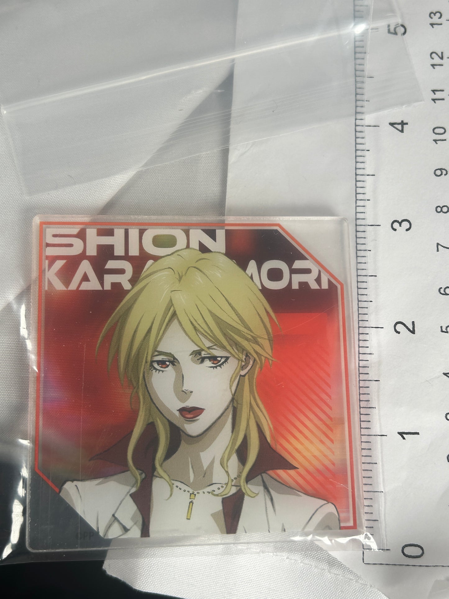 Shion Karanomori Acrylic Coaster Daiso Psycho Pass Providence