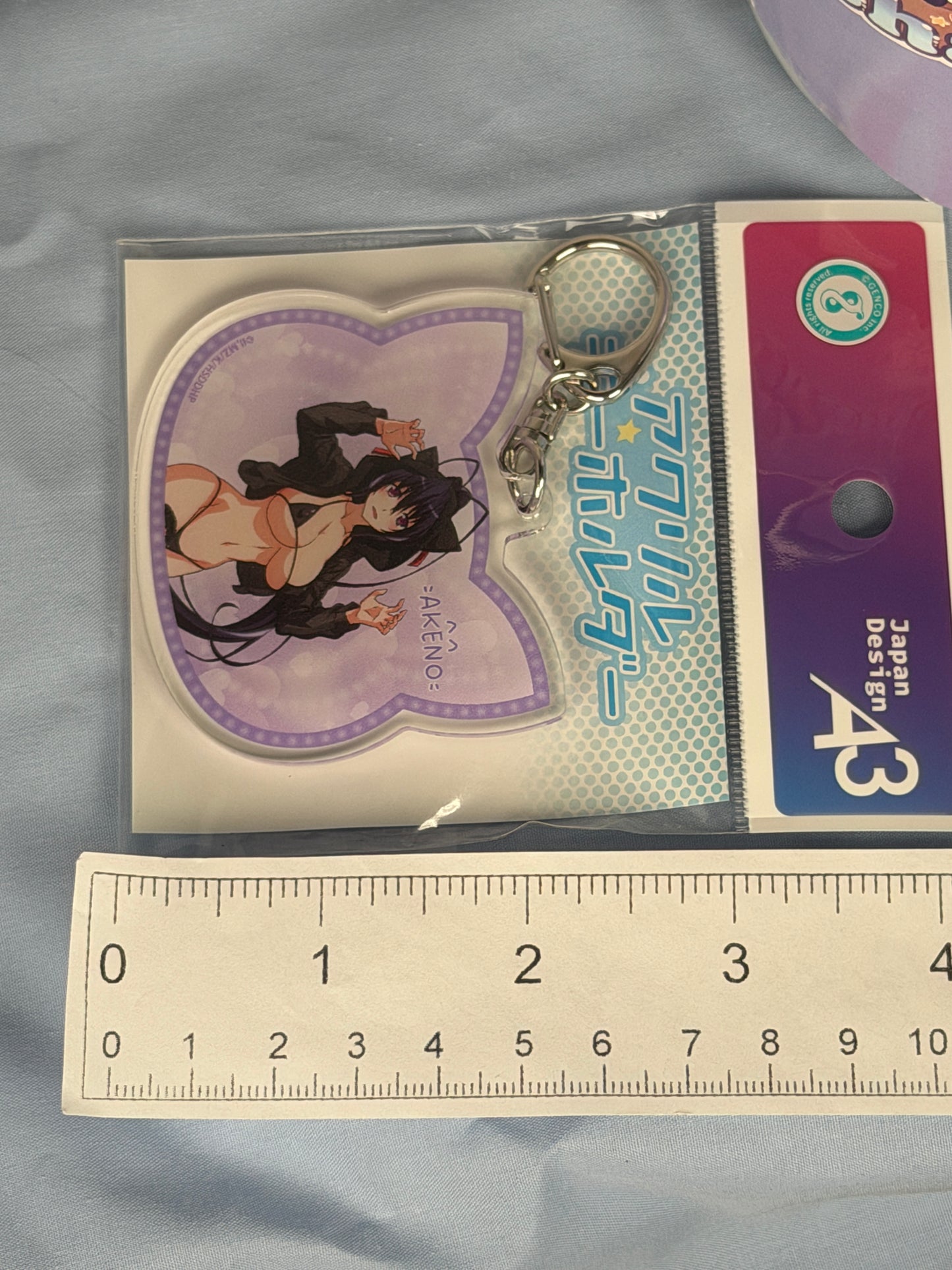 Akane Himejima Cat Hoodie Acrylic Keychain High School DxD HERO eeo Lottery