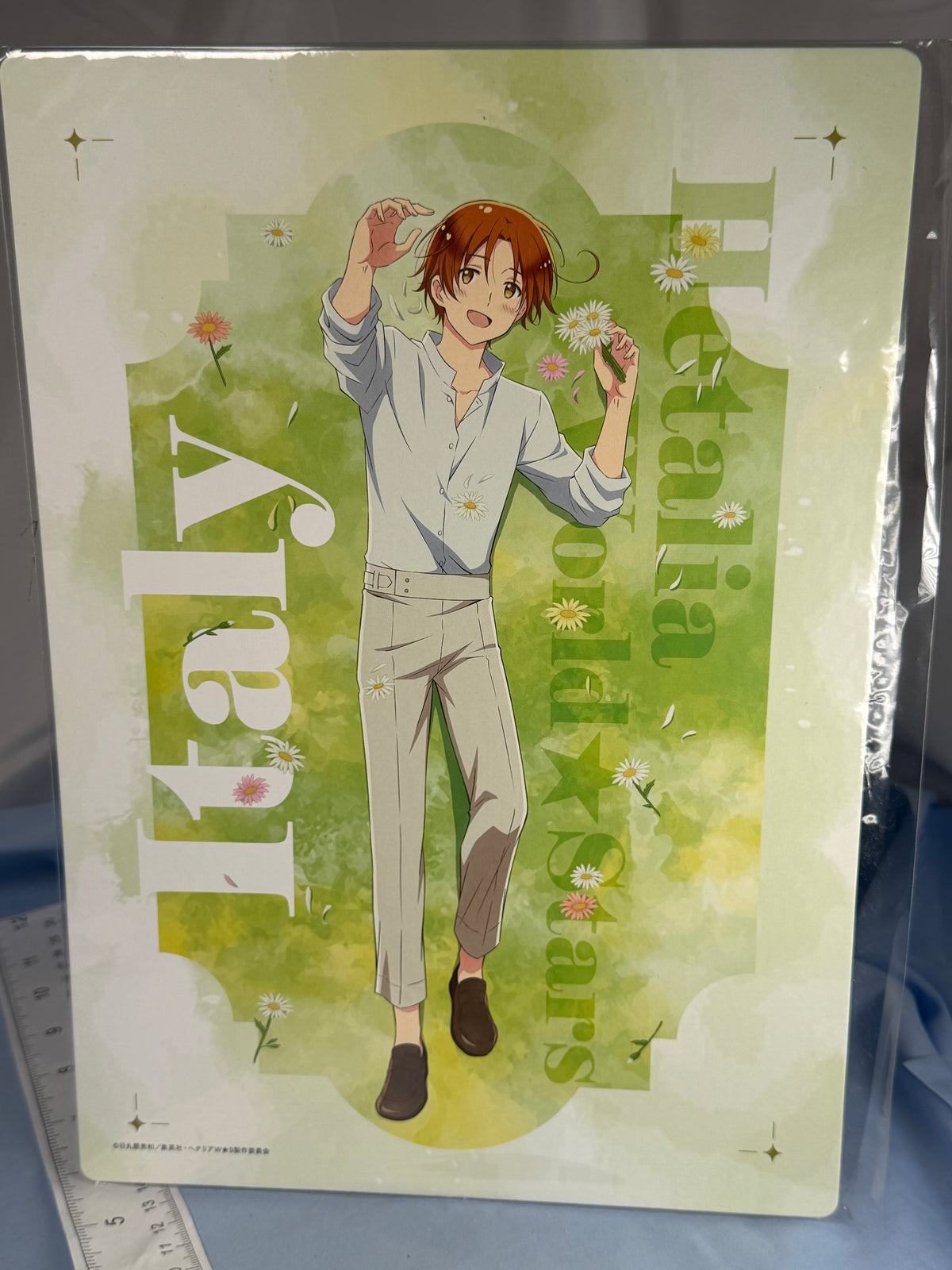 Italy Flower Shower Large Cardboard Artwork Display Hetalia World Stars