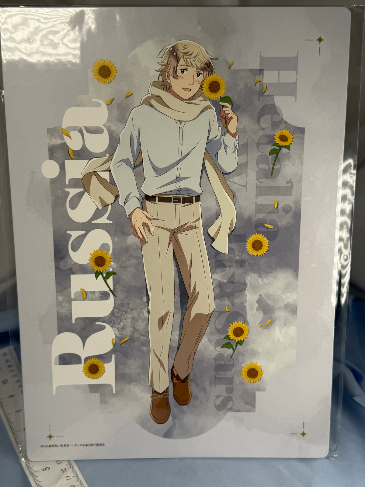 Russia Casual Fashion Artwork Cardboard Display Hetalia World Stars
