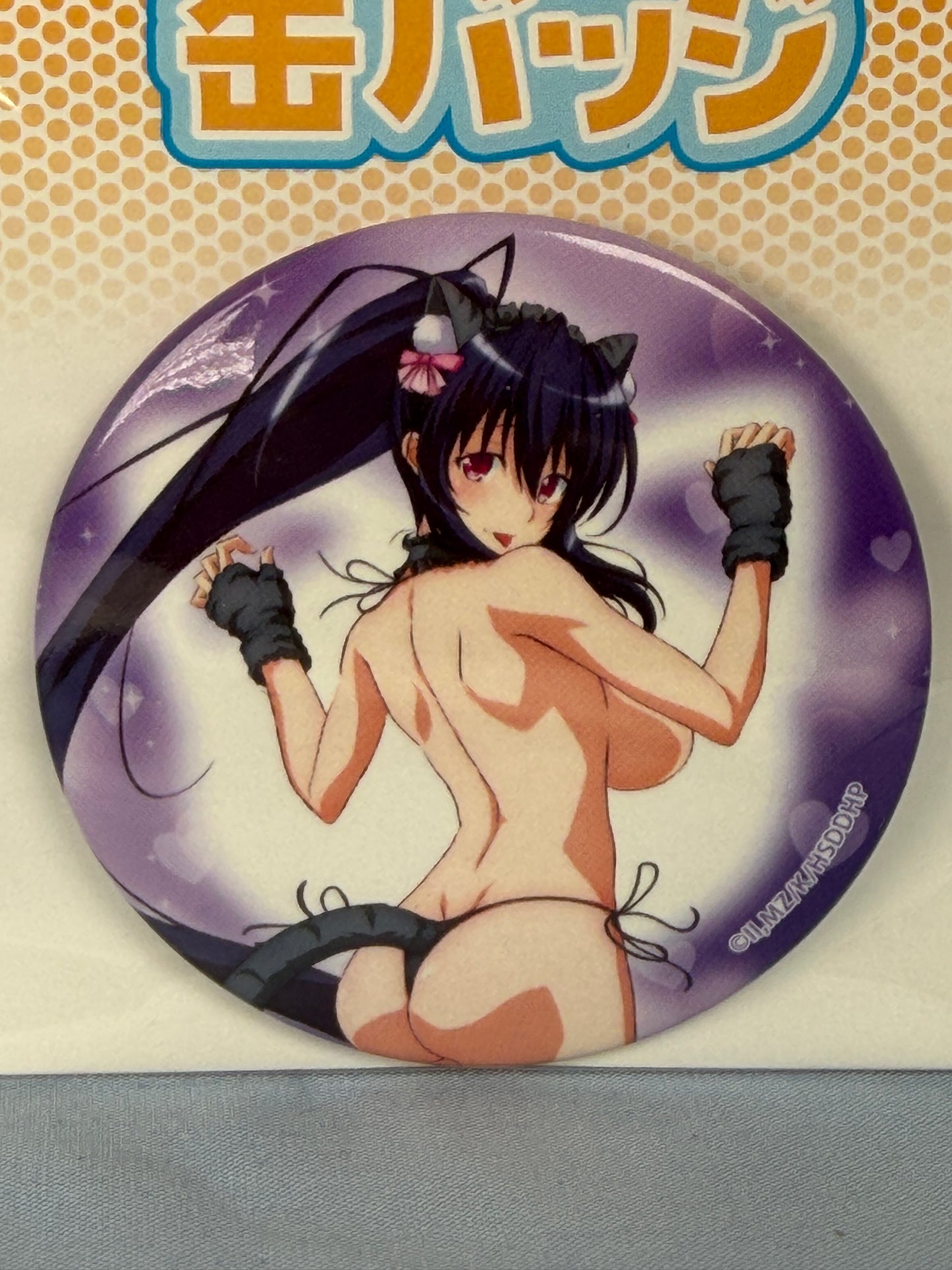 Akane Himejima Full Body Cat Bikini Badge High School DxD HERO eeo Lottery