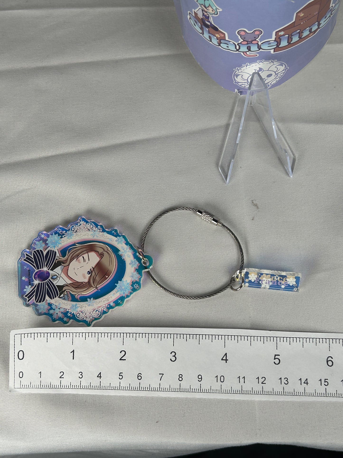 France Snow Prince Café Acrylic Keychain Hetalia World Stars Café
