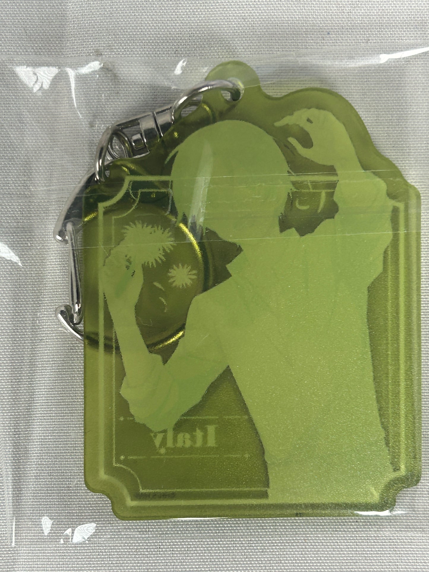 Italy Acrylic Keychain Flower Shower WEB Lottery Hetalia World Stars