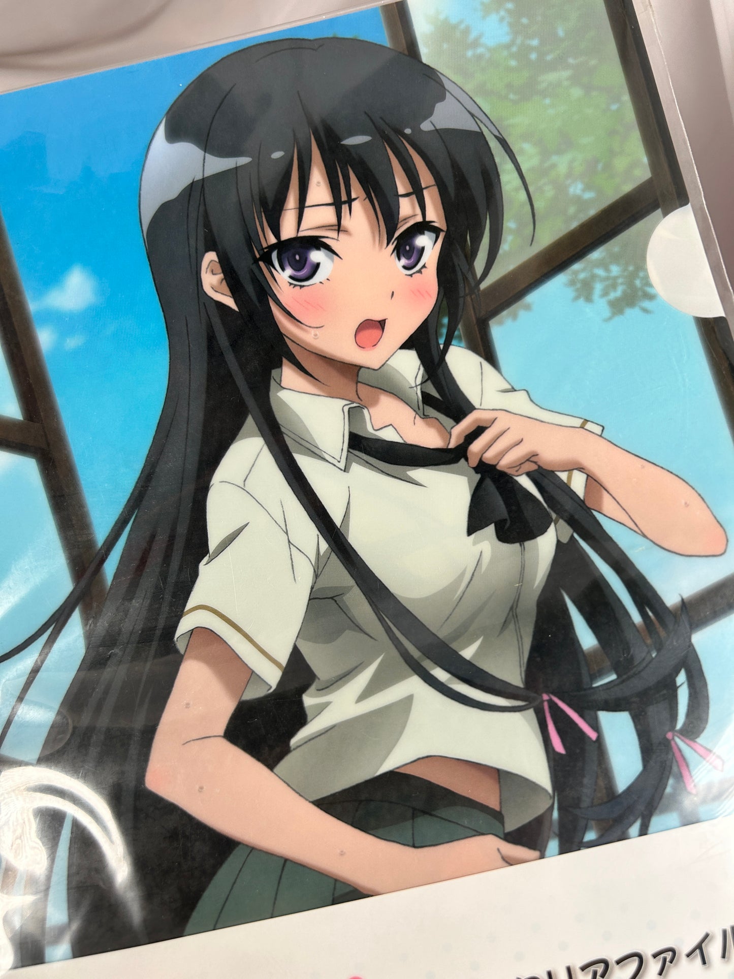 Rika Shiguma Clear File Haganai F Prize Ichiban Kuji