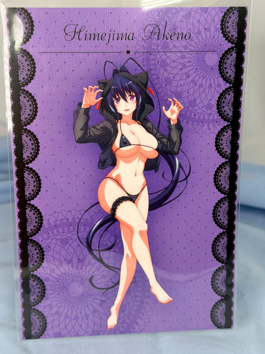 Akane Himejima Cat Hoodie Bikini Postcard High School DxD HERO eeo Lottery