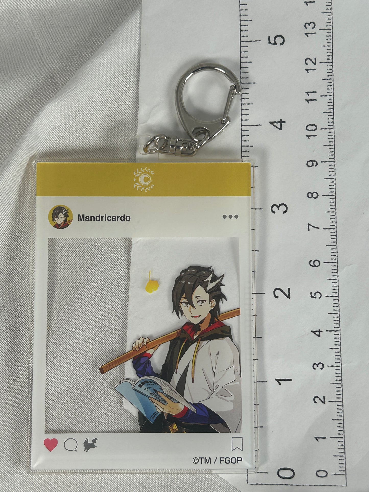 Mandricardo Instagram Acrylic Keychain