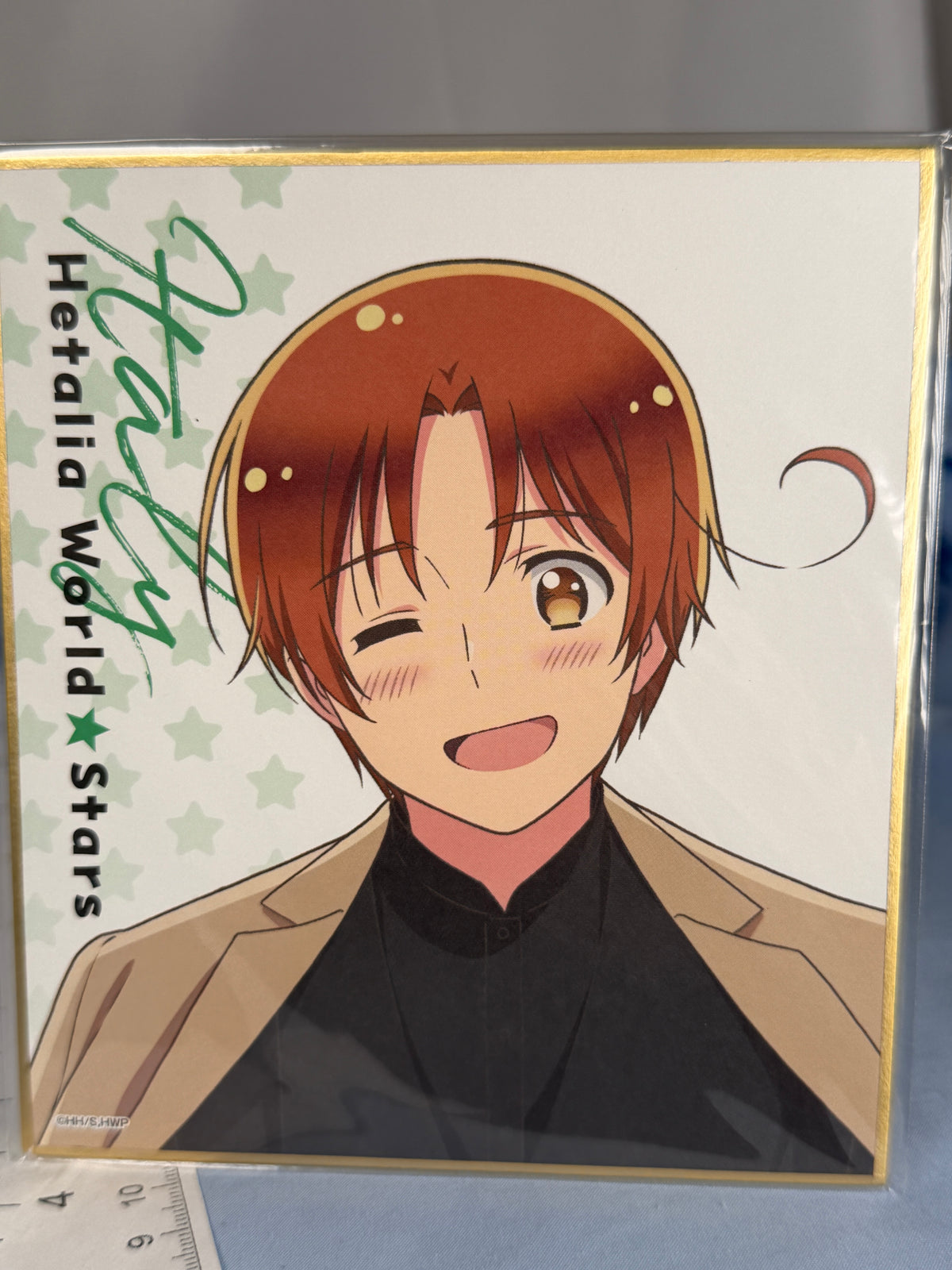 Italy Dining Together Cardboard Artwork Display Shikishi Hetalia World Stars