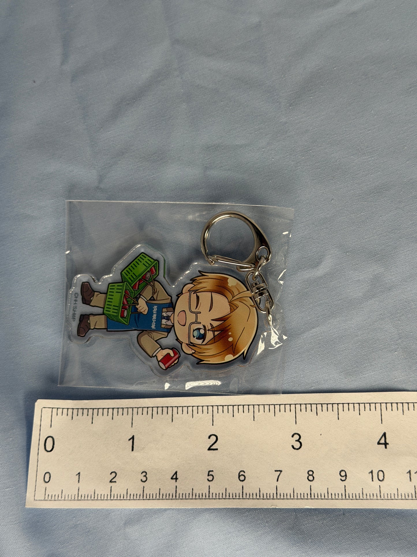 America Acrylic Keychain Hetalia World Stars x Village Vanguard Collaboration