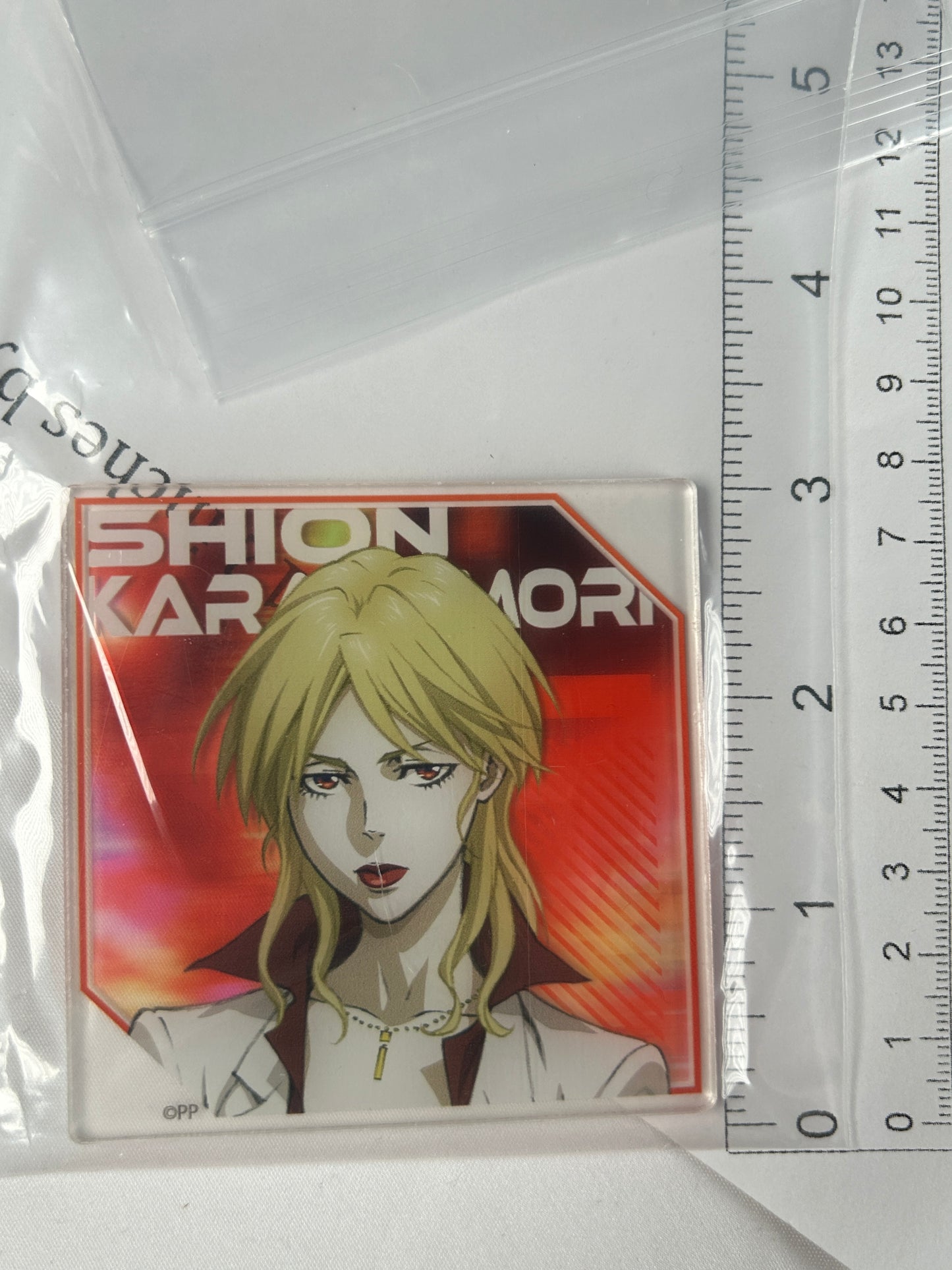 Shion Karanomori Acrylic Coaster Daiso Psycho Pass Providence