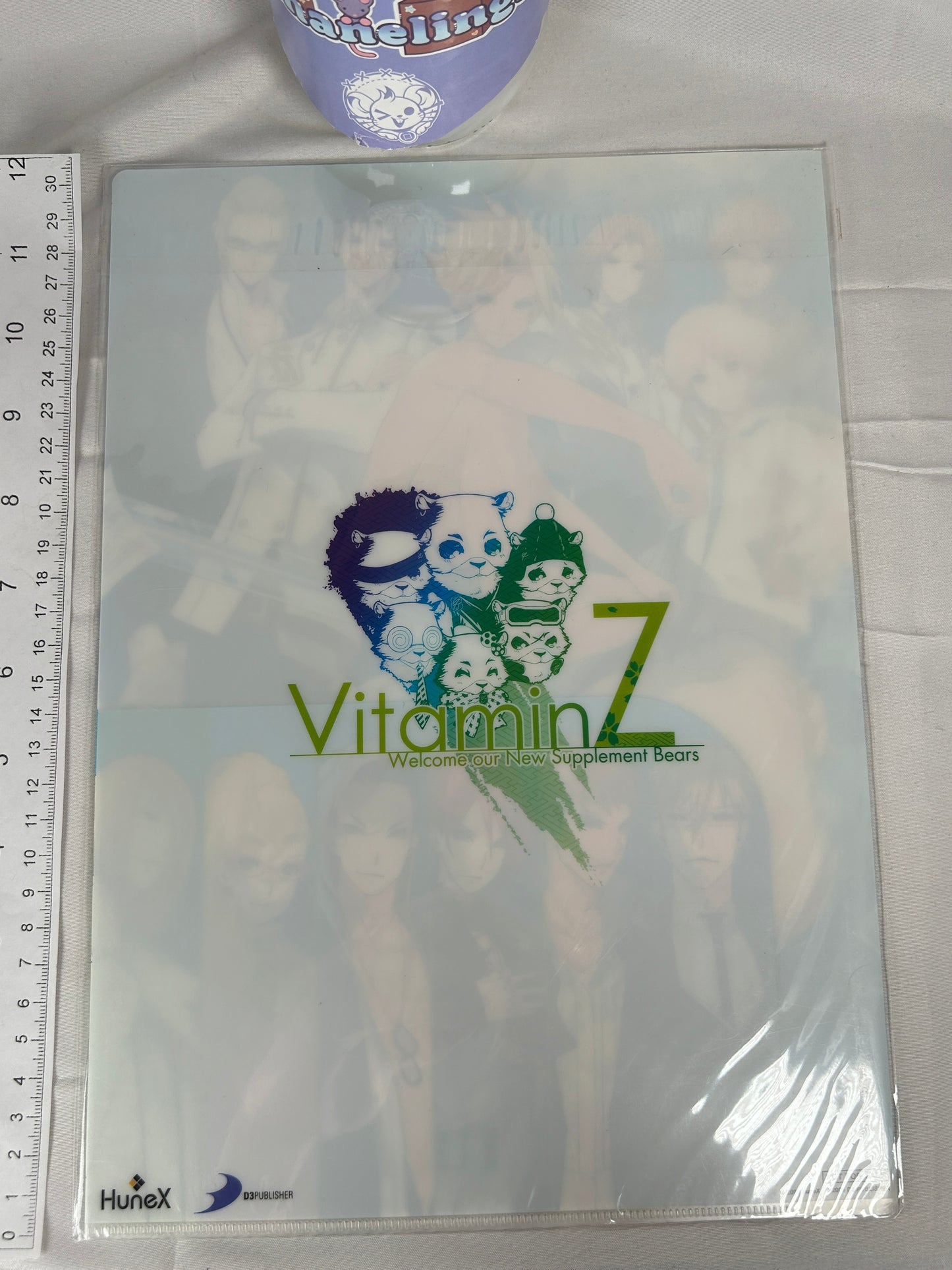 VitaminZ Welcome our New Supplement Boys Clear File 2009