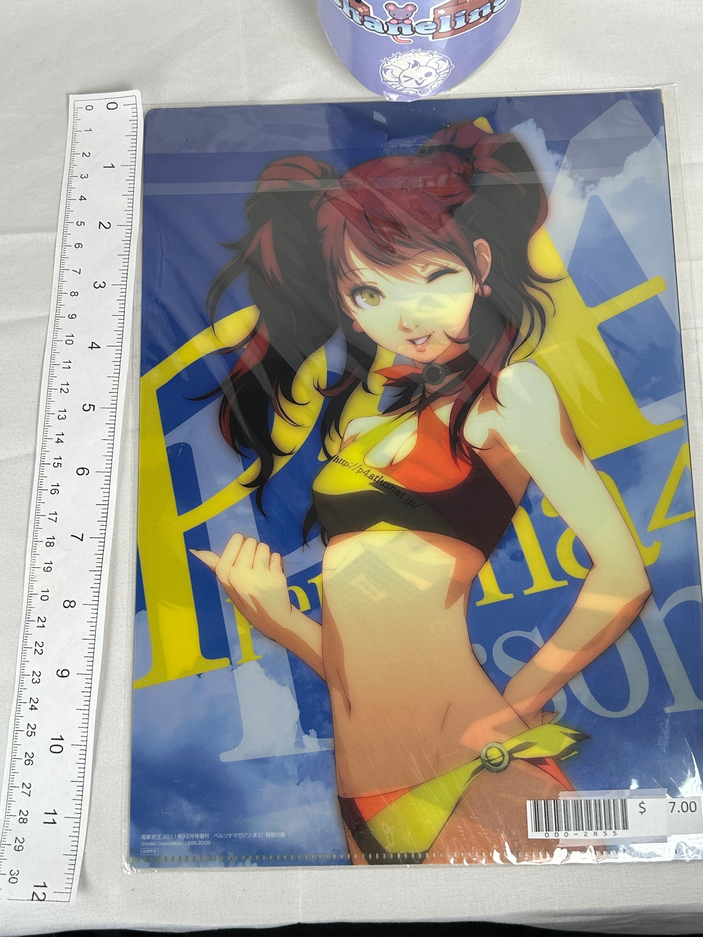 Rise Kujikawa Yu Narukami Naoto Shirogane Swimsuit Clear File Persona 4