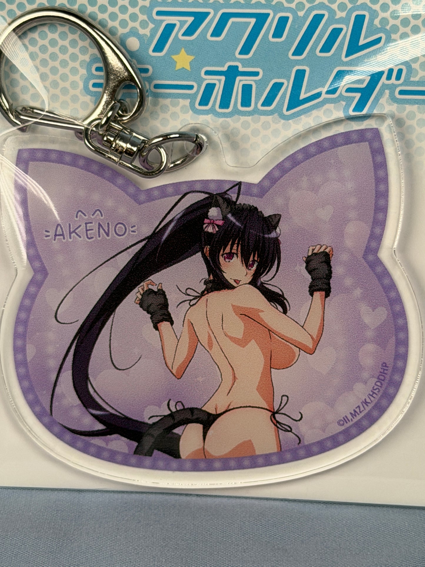 Akane Himejima Cat Bikini Acrylic Keychain High School DxD HERO eeo Lottery