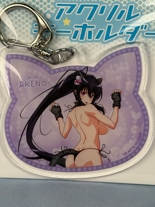 Akane Himejima Cat Bikini Acrylic Keychain High School DxD HERO eeo Lottery