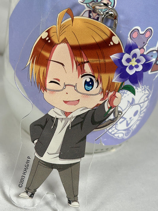 America Alfred F Jones Acrylic Keychain Hetalia The Beautiful World 2016