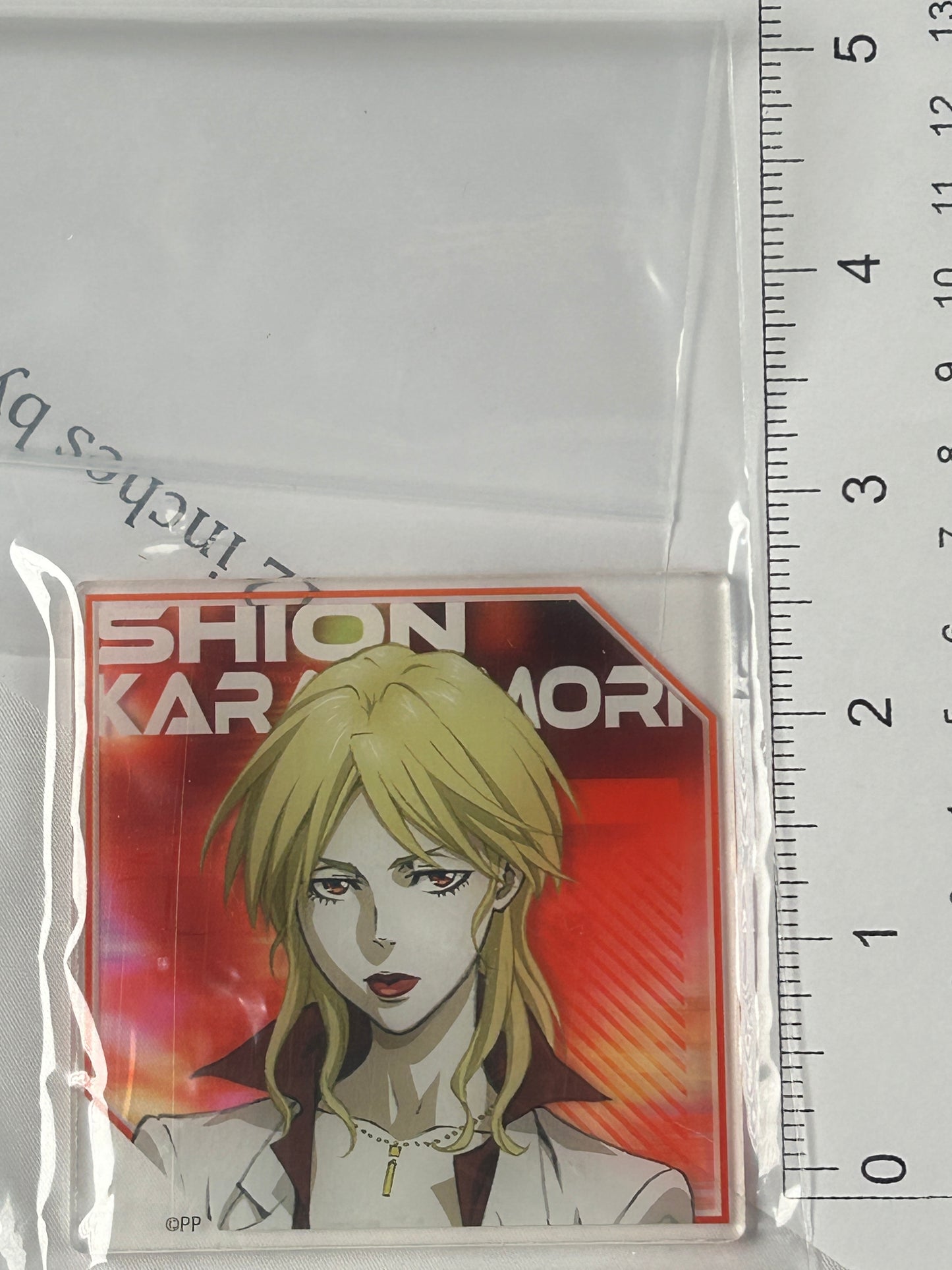 Shion Karanomori Acrylic Coaster Daiso Psycho Pass Providence