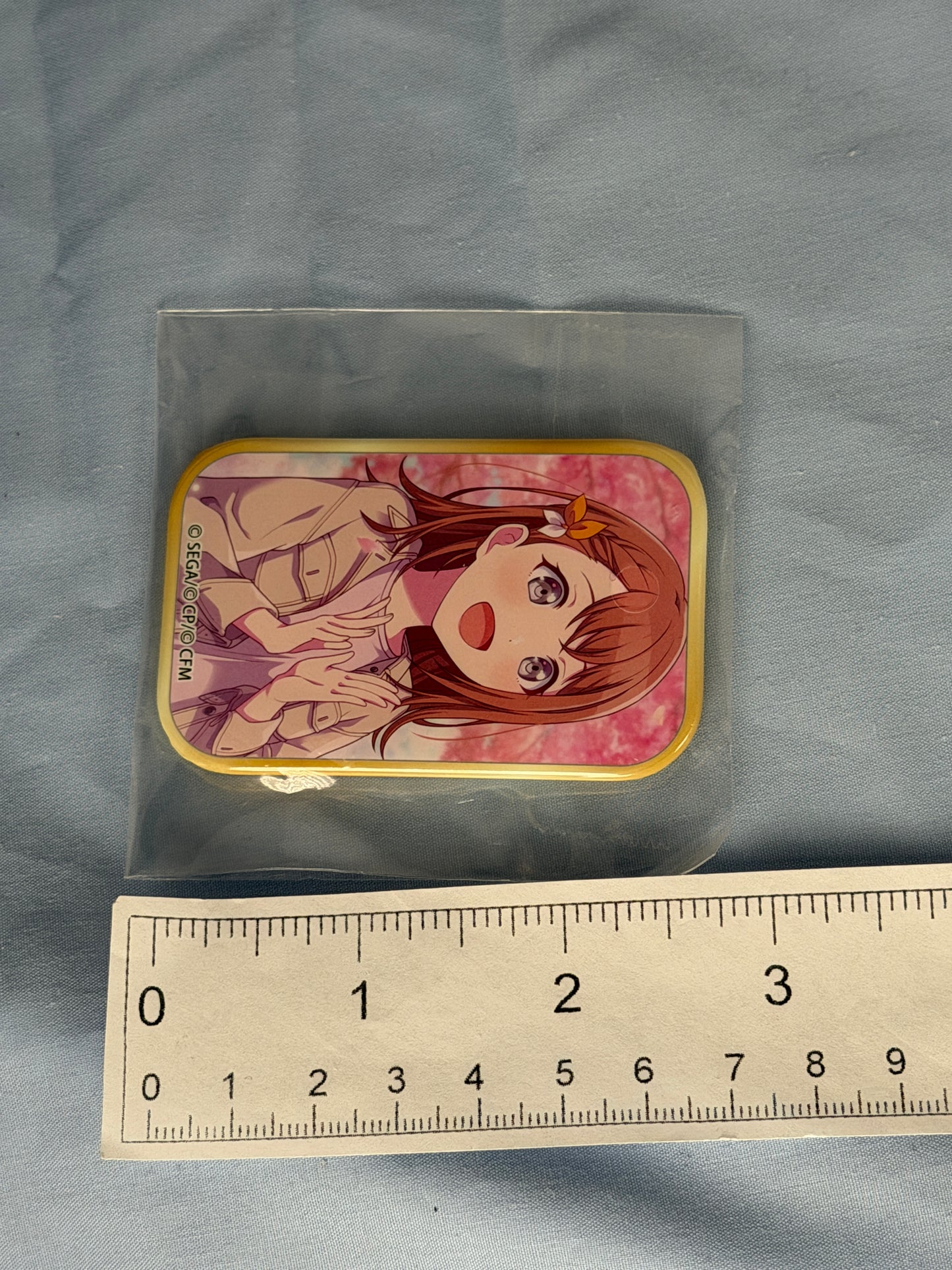 Hanasato Minori Untrained Expanding Circle of Friendship Can Badge Project Sekai
