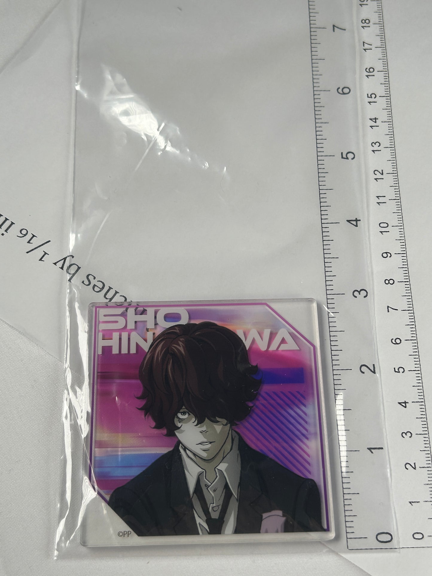 Sho Hinakawa Acrylic Coaster Daiso Psycho Pass Providence