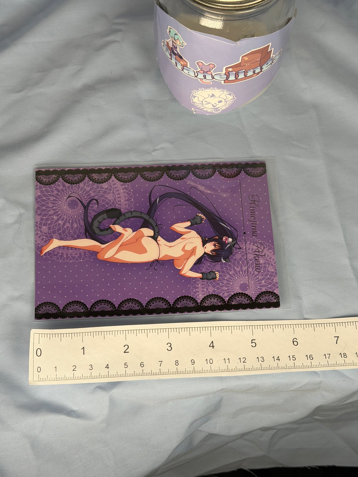 Akane Himejima Cat Bikini Postcard High School DxD HERO eeo Lottery
