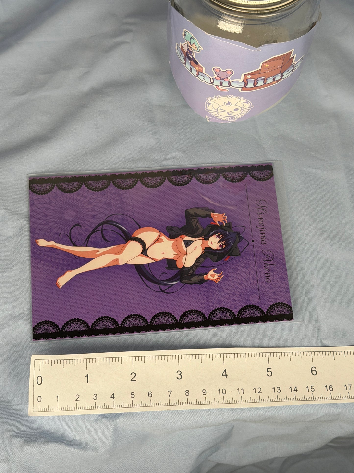 Akane Himejima Cat Hoodie Bikini Postcard High School DxD HERO eeo Lottery