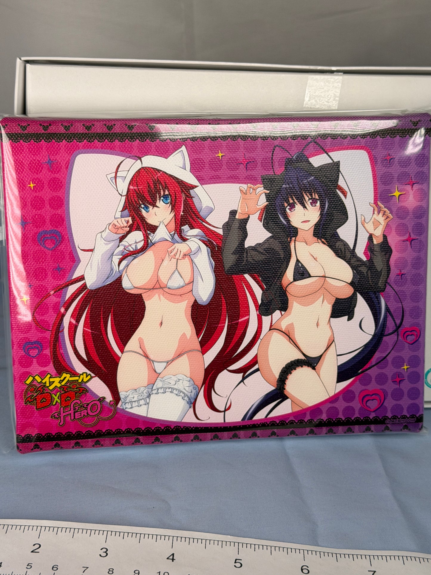 Rias Gremory Akane Himejima Cat Bikini Canvas Board HighSchool DxD HERO eeo Kuji
