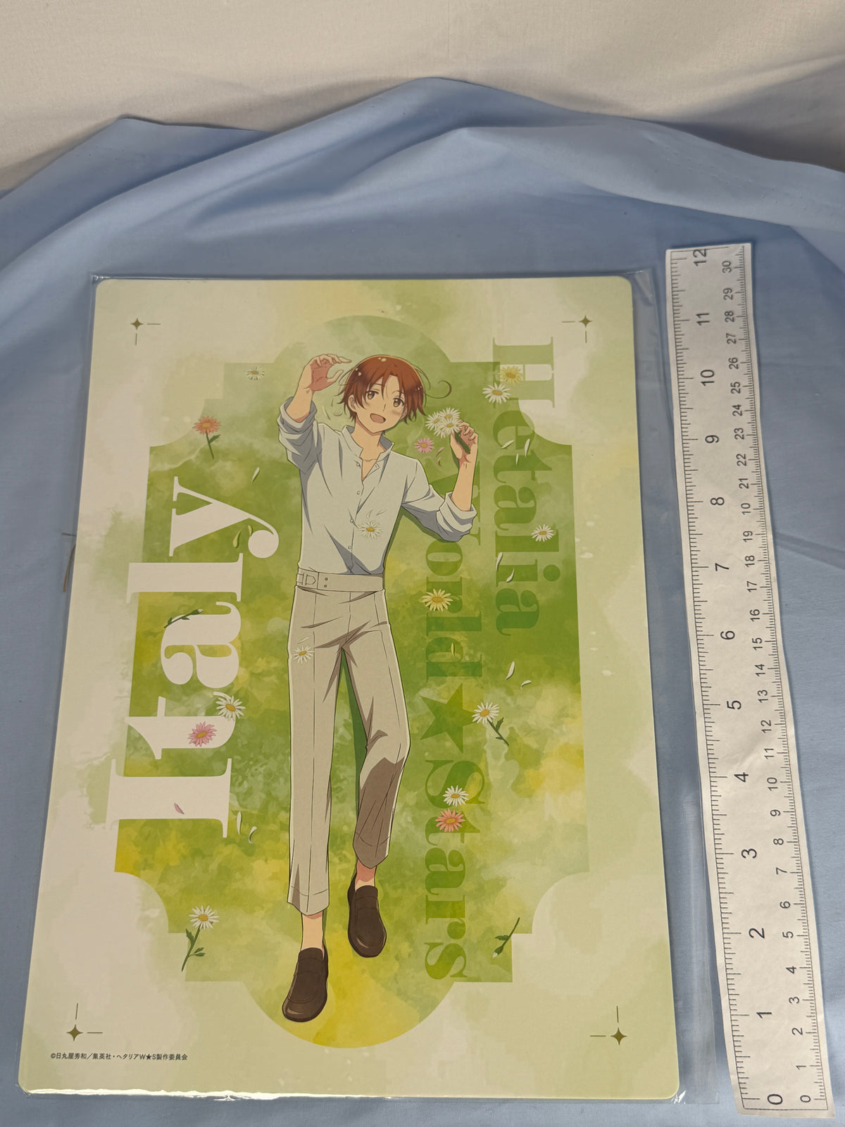 Italy Flower Shower Large Cardboard Artwork Display Hetalia World Stars