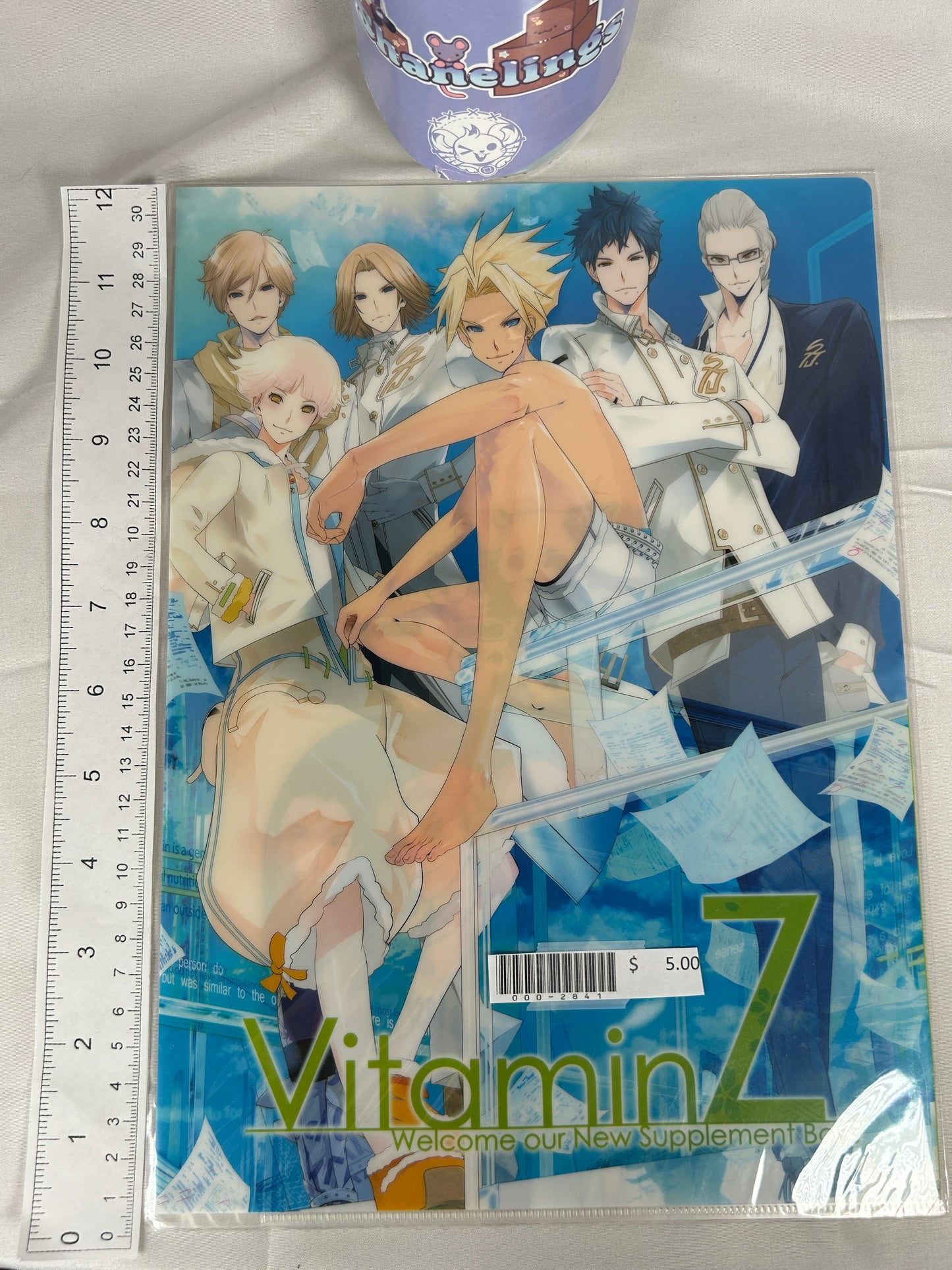 VitaminZ Welcome our New Supplement Boys Clear File 2009