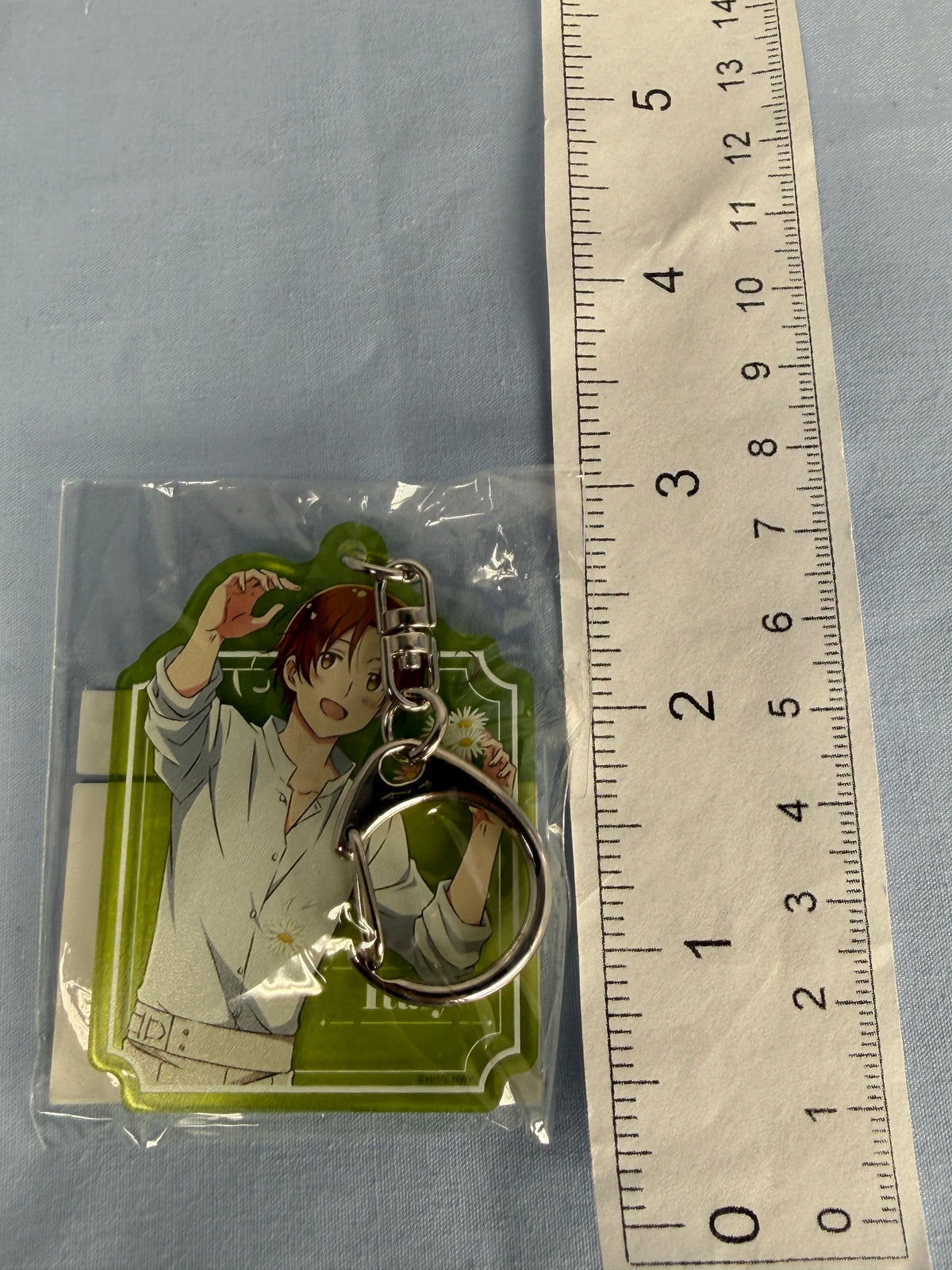 Italy Flower Shower Acrylic Keychain Hetalia World Stars Web Lottery D-1