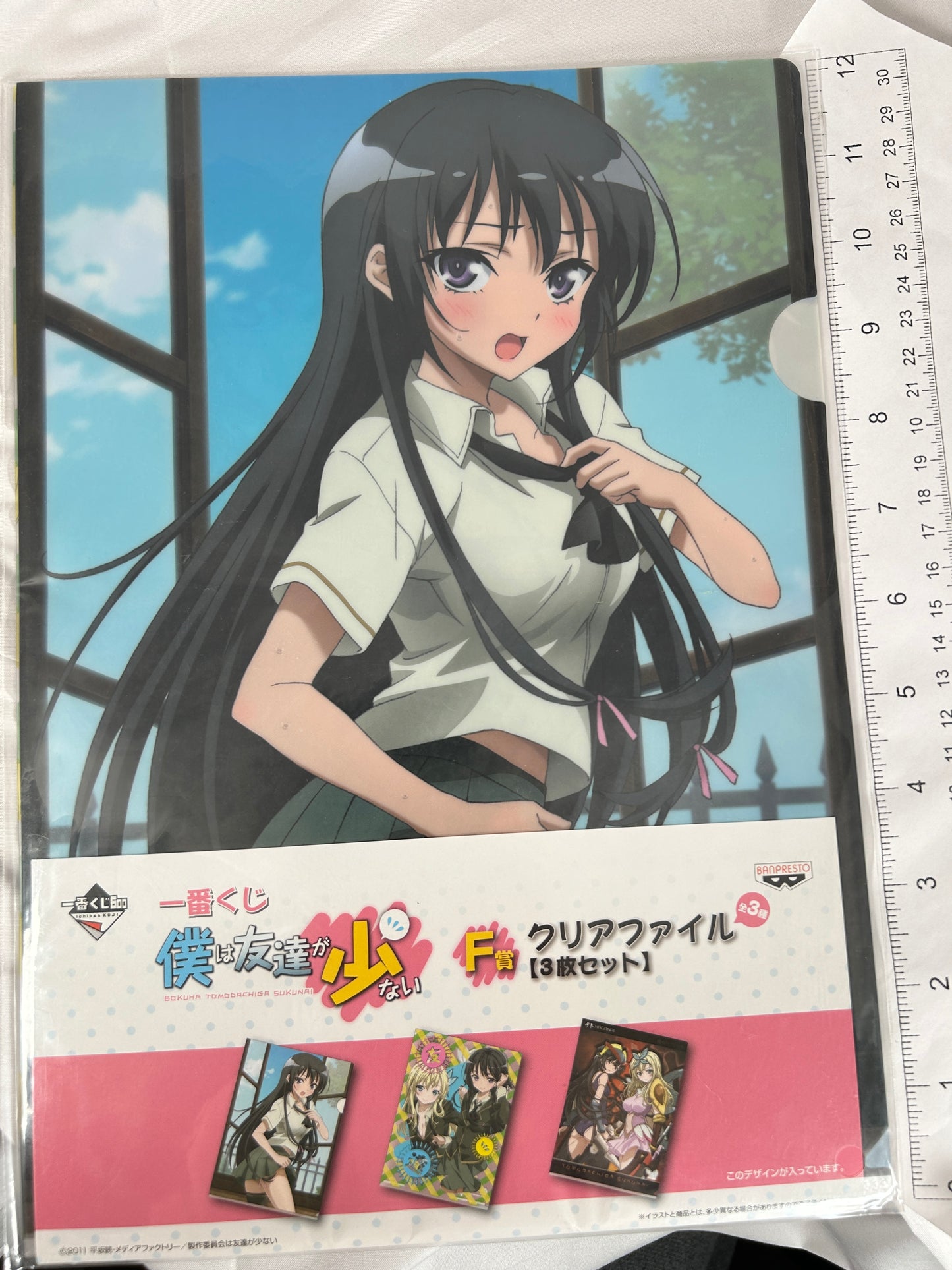 Rika Shiguma Clear File Haganai F Prize Ichiban Kuji