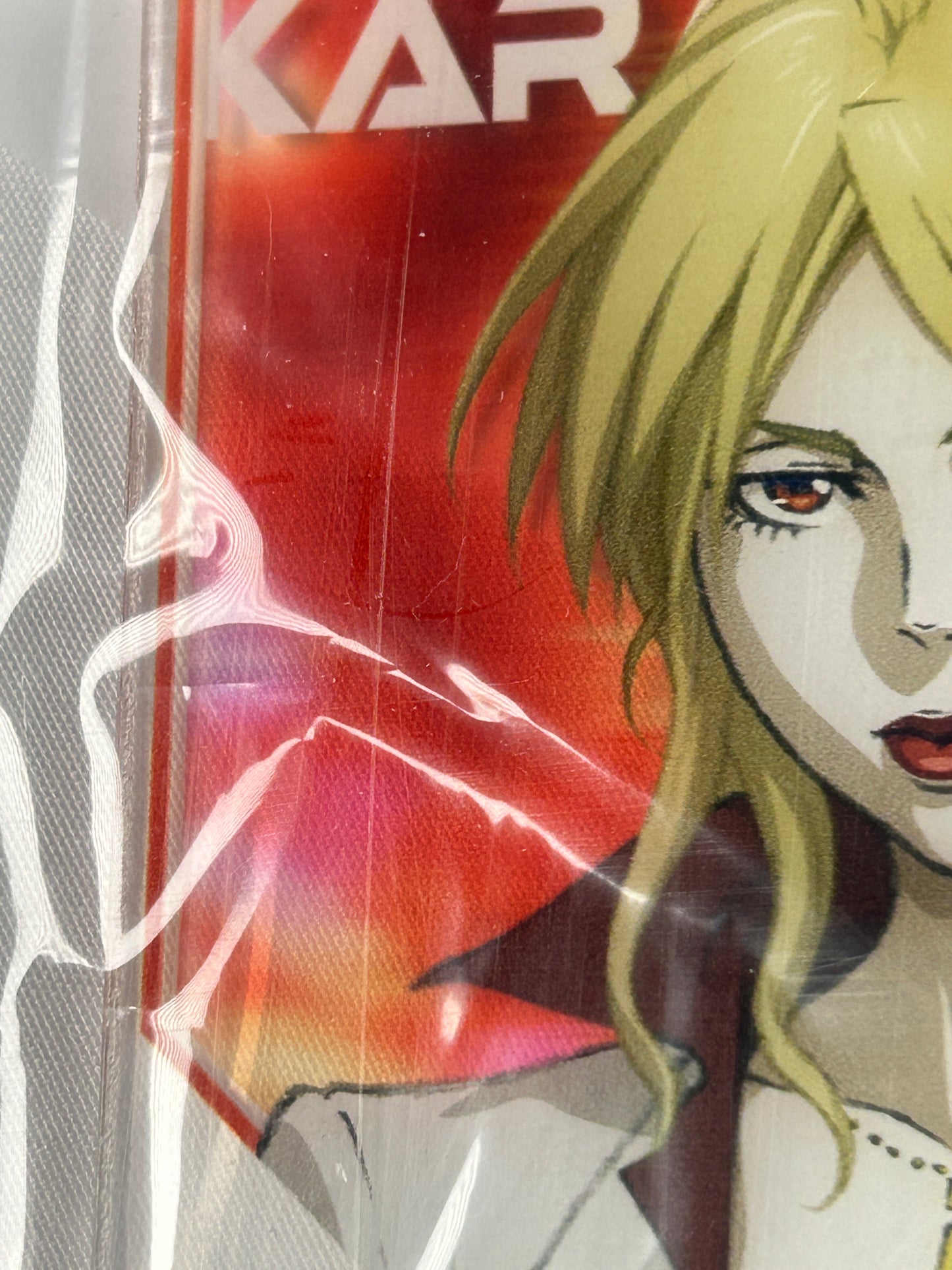 Shion Karanomori Acrylic Coaster Daiso Psycho Pass Providence