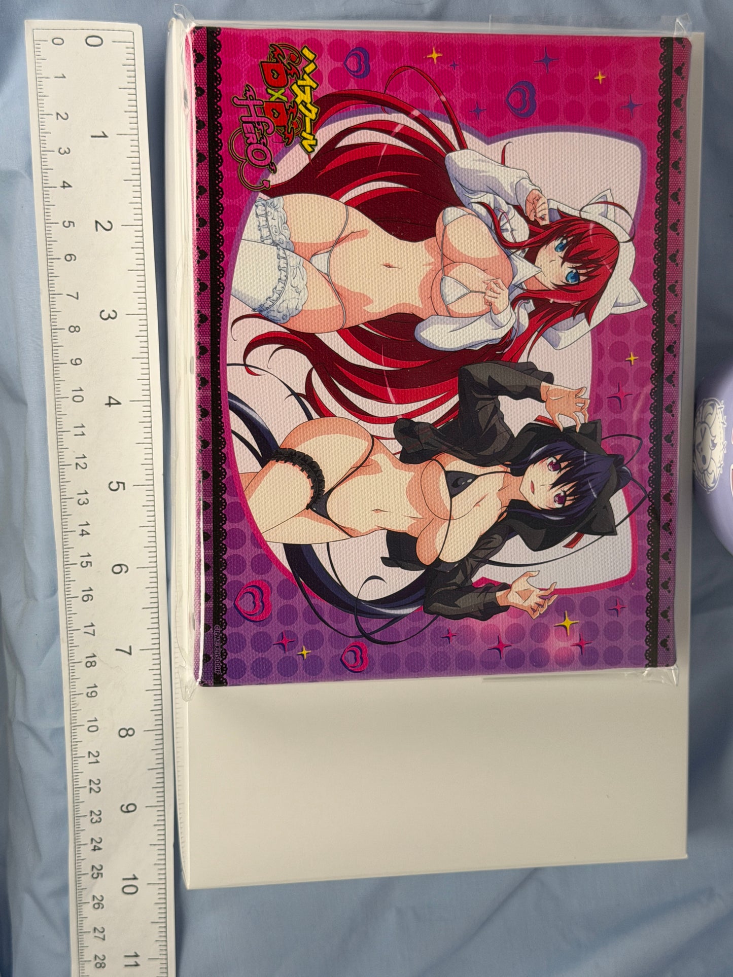 Rias Gremory Akane Himejima Cat Bikini Canvas Board HighSchool DxD HERO eeo Kuji