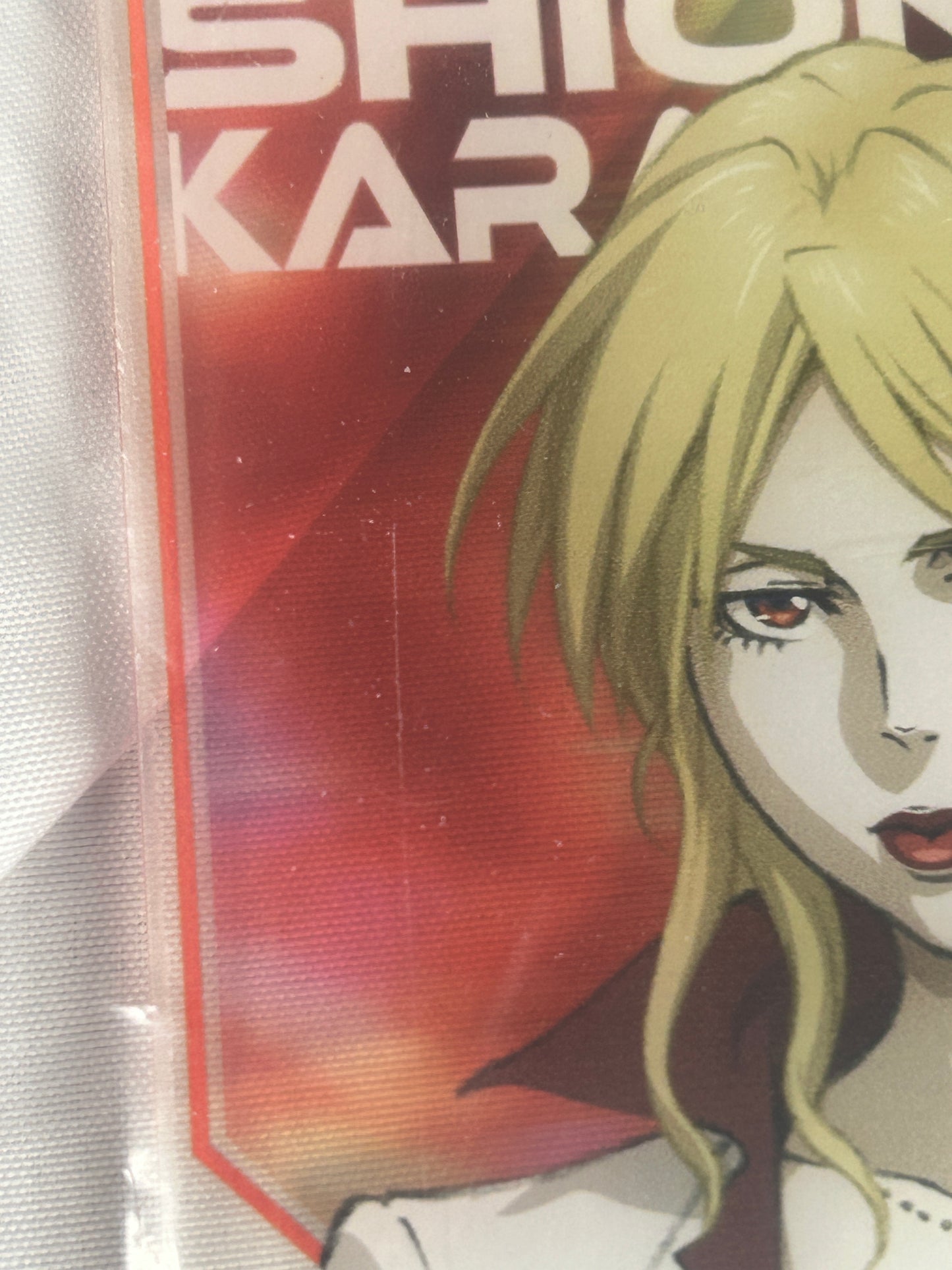 Shion Karanomori Acrylic Coaster Daiso Psycho Pass Providence