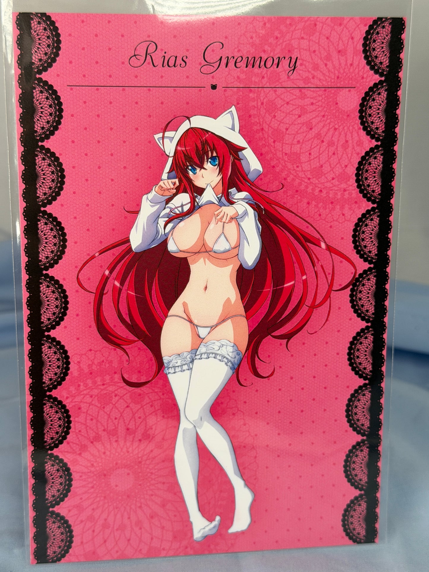 Rias Gremory Cat Hoodie Bikini Postcard High School DxD HERO eeo Lottery