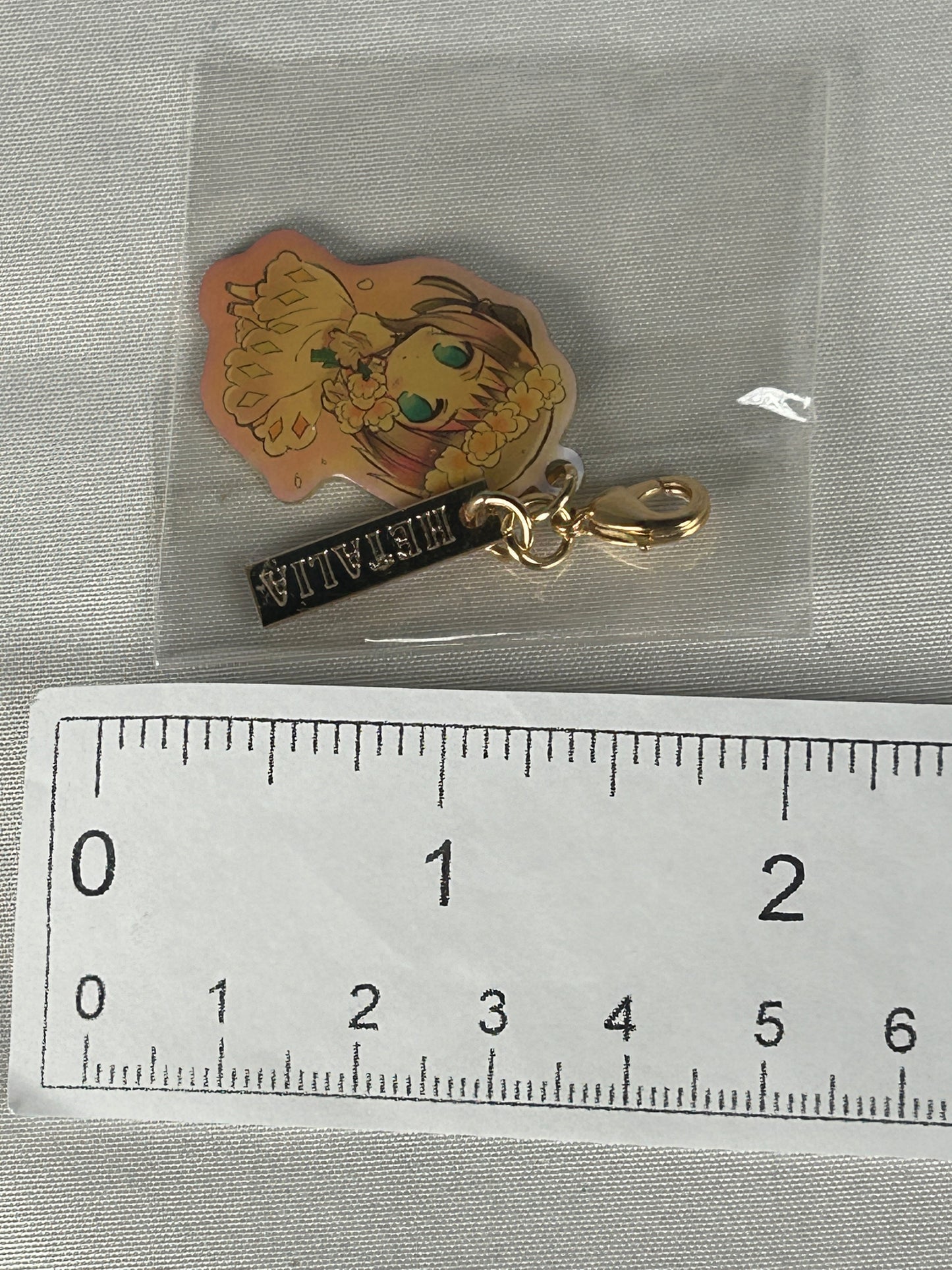 Liechtenstein Metal Charm Keychain Hetalia Axis Powers 2012