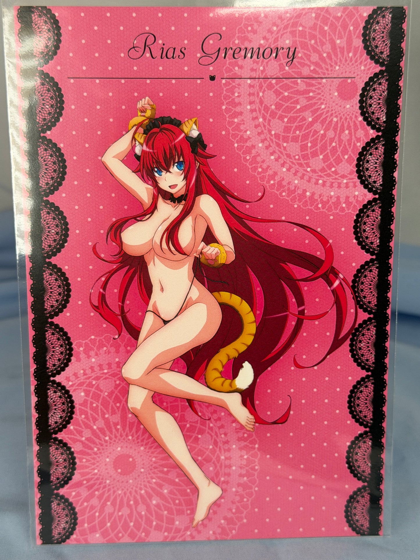 Rias Gremory Cat Bikini Postcard High School DxD HERO eeo Lottery