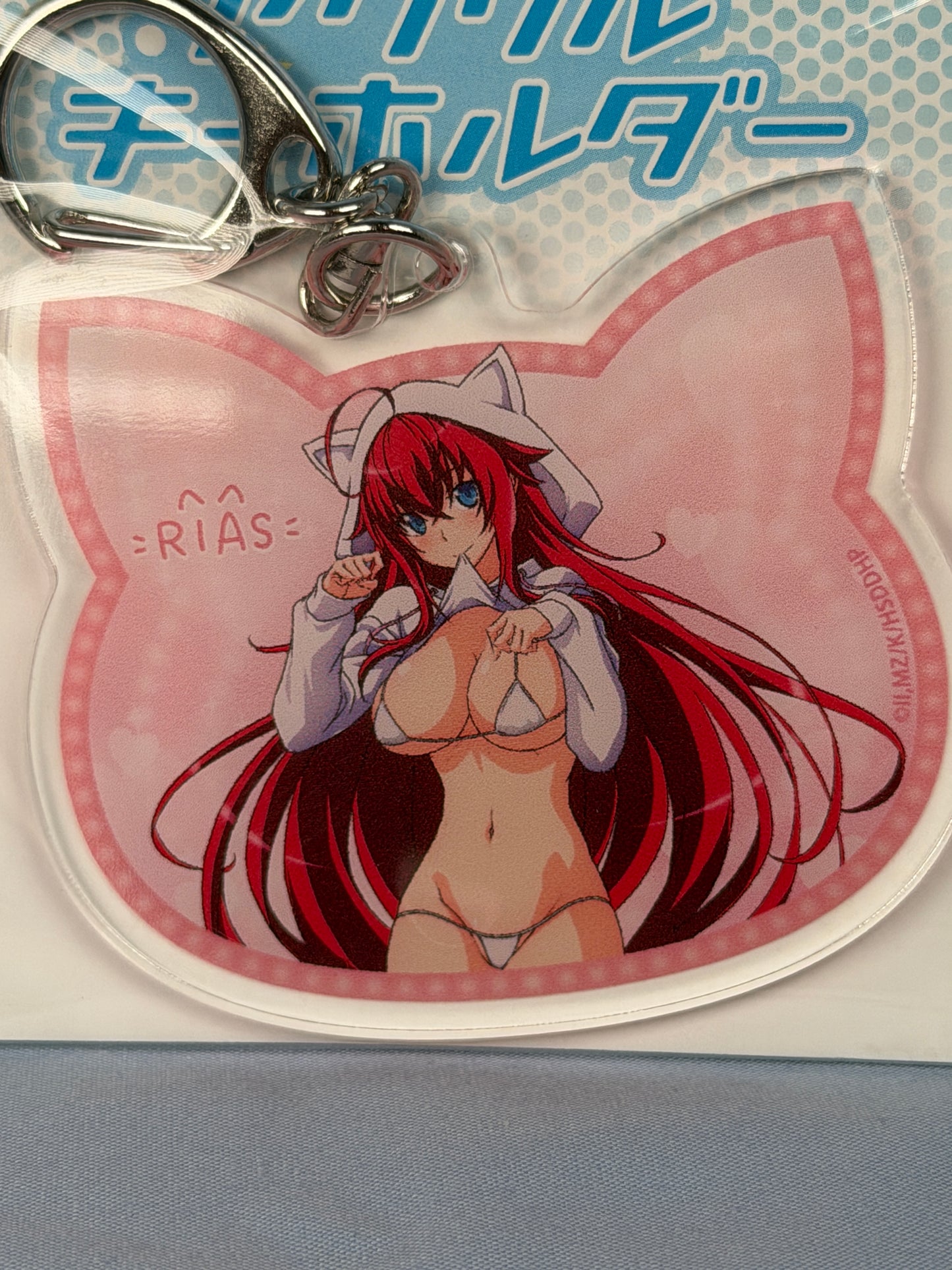 Rias Gremory Cat Hoodie Acrylic Keychain High School DxD HERO eeo Lottery
