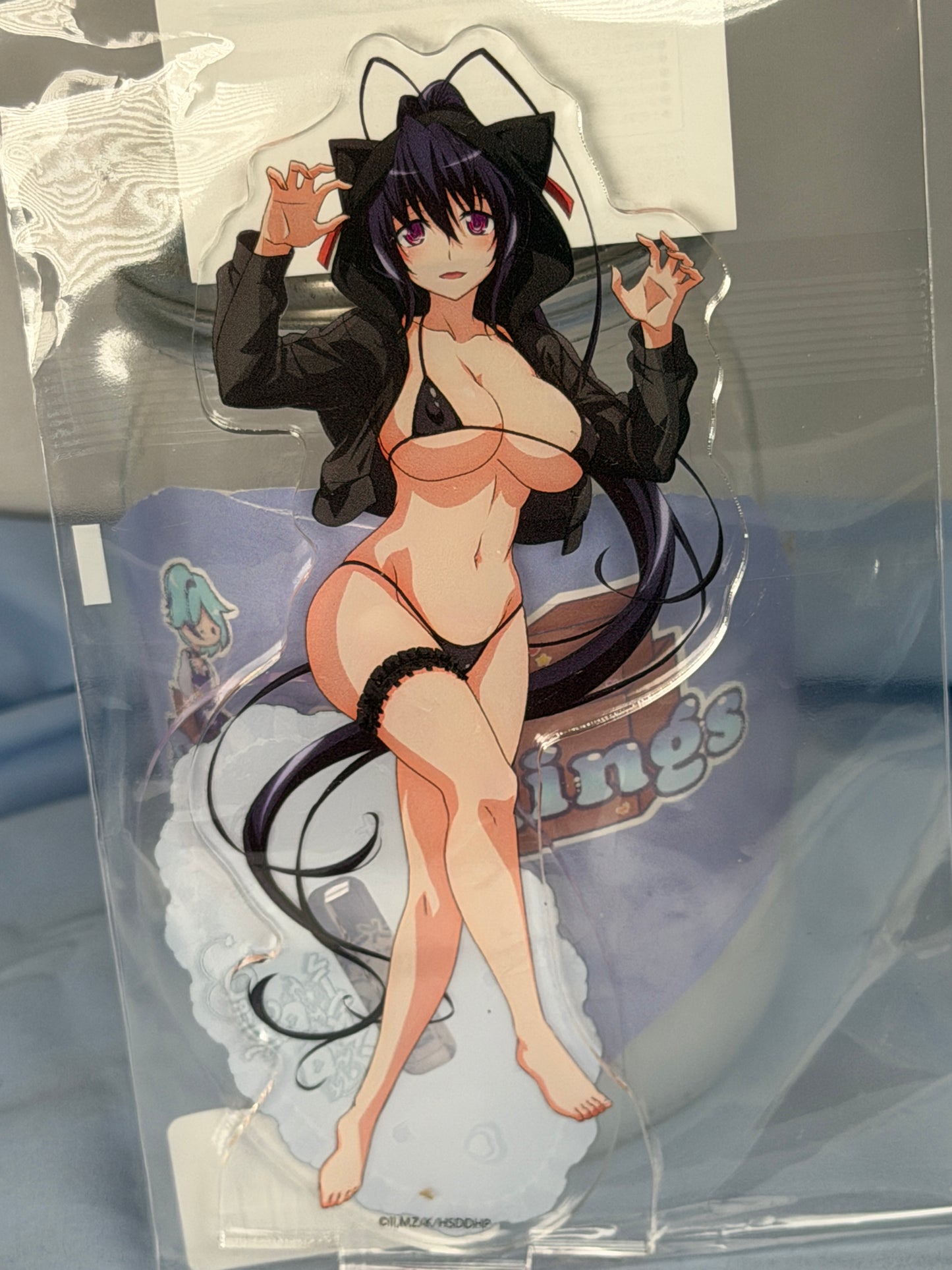 Akane Himejima Cat Hoodie Acrylic Stand High School DxD HERO eeo Lottery