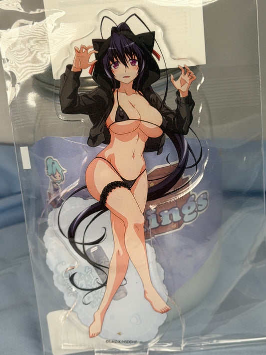 Akane Himejima Cat Hoodie Acrylic Stand High School DxD HERO eeo Lottery