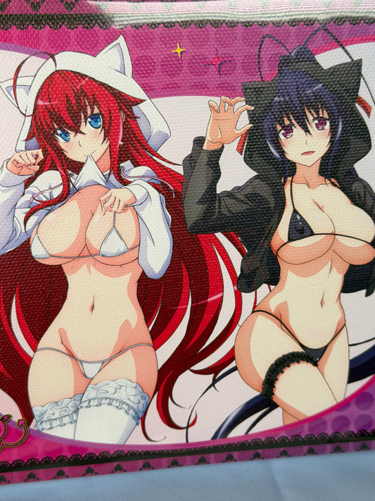 Rias Gremory Akane Himejima Cat Bikini Canvas Board HighSchool DxD HERO eeo Kuji