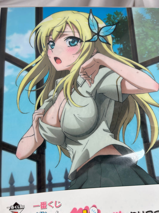 Sena Kashiwazaki Clear File Haganai F Prize Ichiban Kuji
