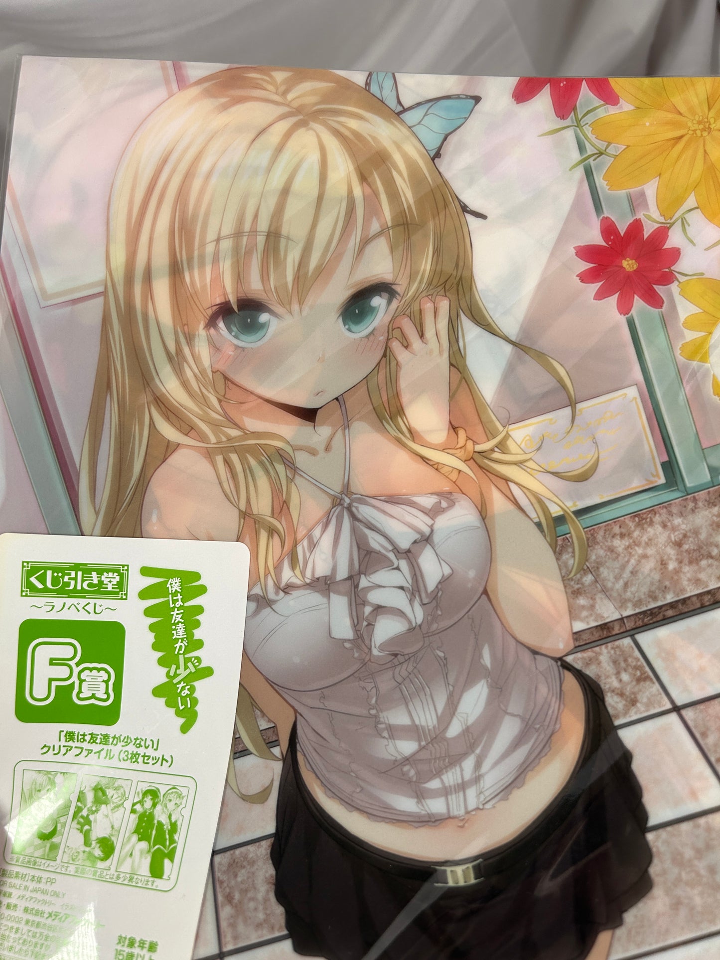 Sena Kashiwazaki Kobato Hasegawa Clear File Haganai F Prize Ichiban Kuji