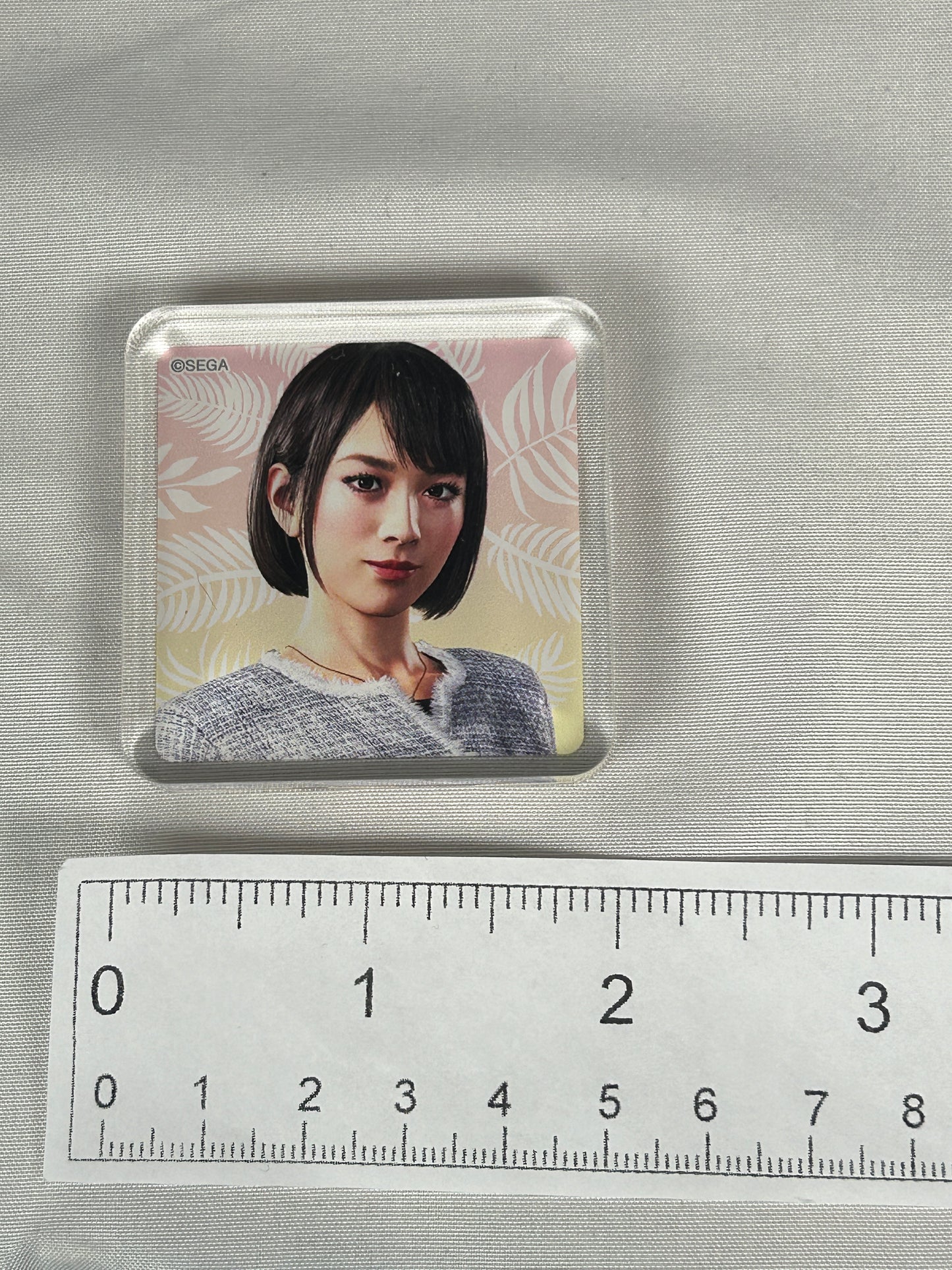 Saeko Mukoda Acrylic Block Yakuza 8 Shinjuku Limited Shop